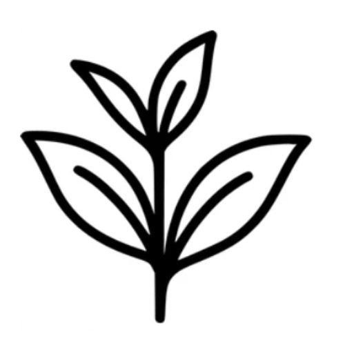 GREEN TEA EXTRACT