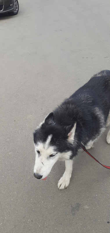 20230420_133023(0)[1]