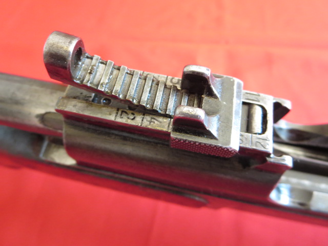 IMG-3556