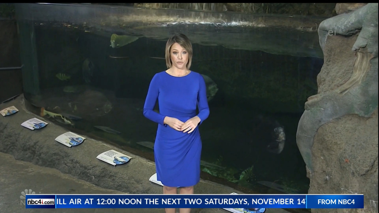 11.07 - 15.00.00 - Earth Odyssey With Dylan Dreyer. The world's smart....ts_snapshot_00.25.07.855