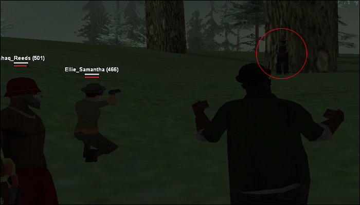 SS30.jpg