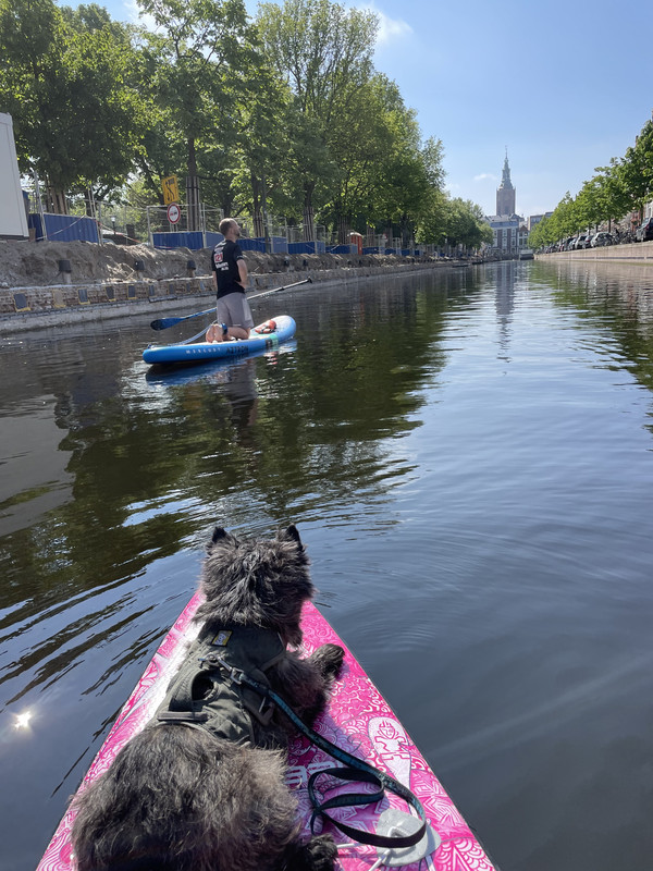 1A83350D-B845-4A7B-A1F3-577B2C5D06A6