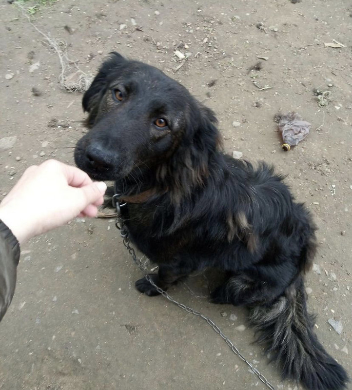 C50FB8DE-ADC9-4B19-BEC6-CA8283AB7422