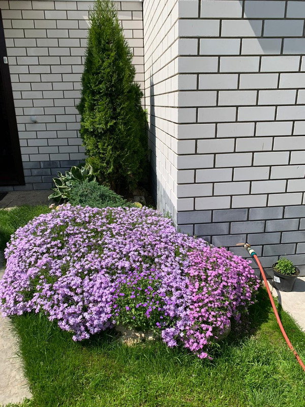 C7282B0A-8E9B-4639-A5BA-4E13BA10FC28