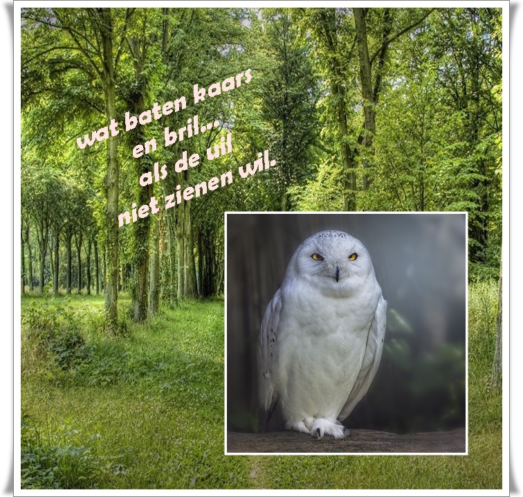 Klik op de afbeelding om de link te volgen