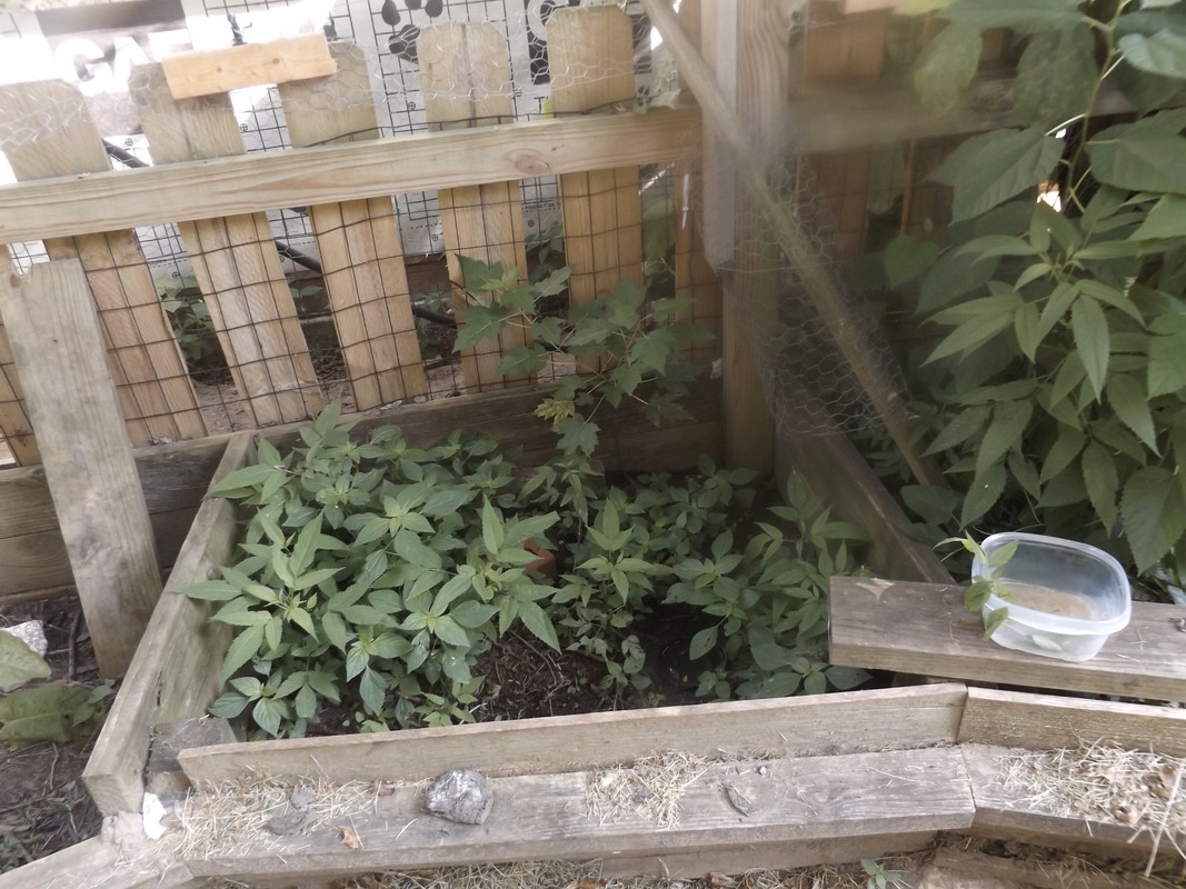 DSCF6582.jpg