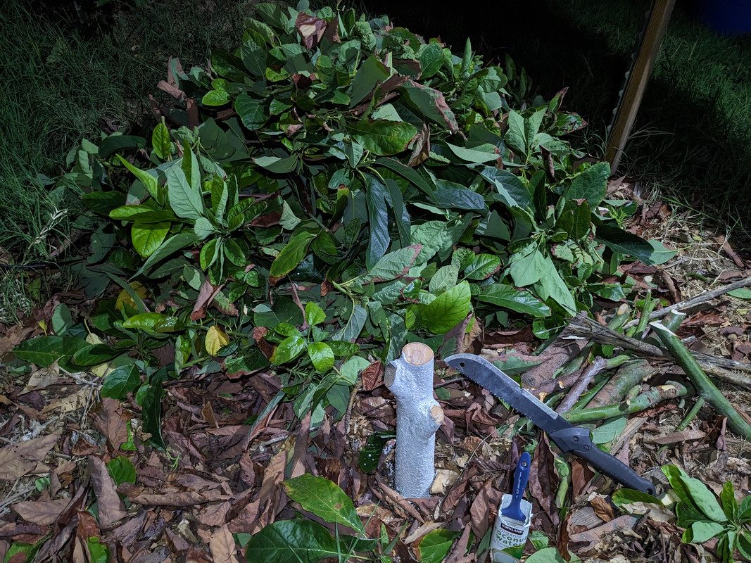 PXL_20250923_034145800