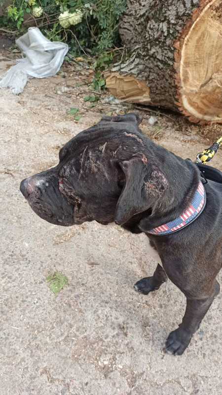 WhatsApp Image 2022-09-04 at 16.36.02 (1)