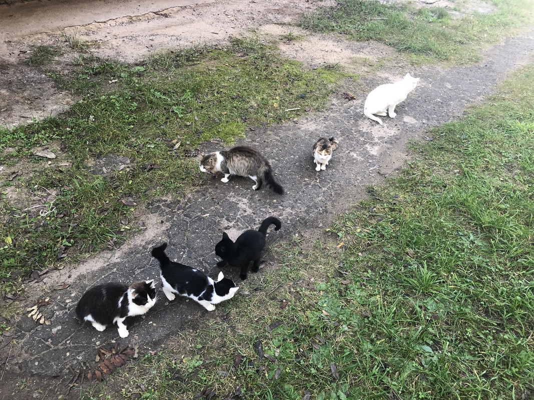 BC0B4AB3-B476-4C5C-8657-BB67EE352036