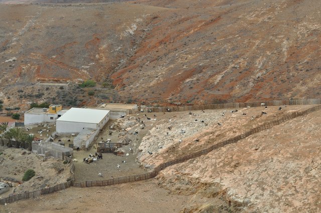 FUERTEVENTURA 19/6/12 - LANZAROTE EN GUAGUA (7)