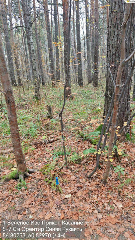 photo_1_2025-10-10_22-37-15