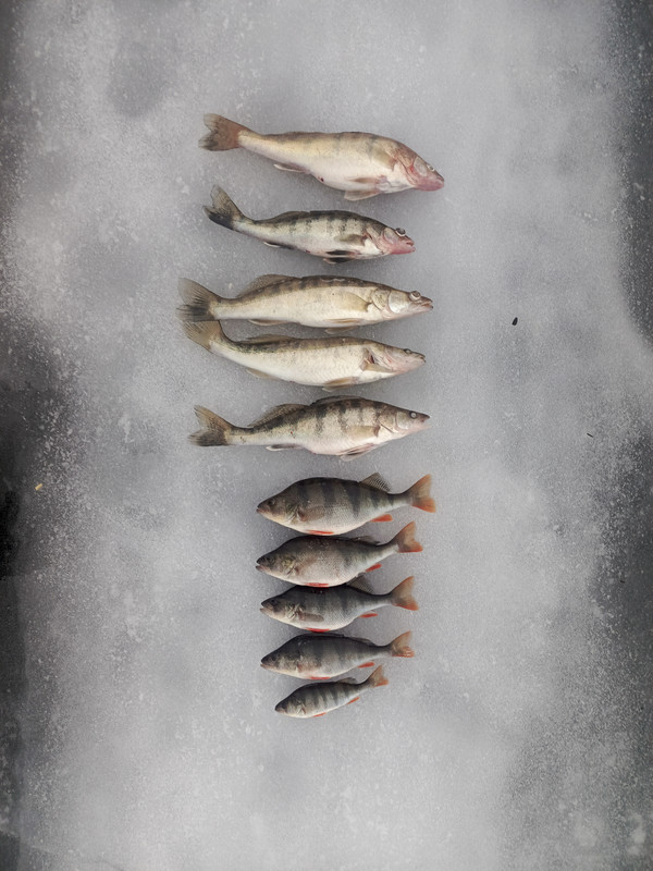 IMG_20250129_155359_506@-668168777