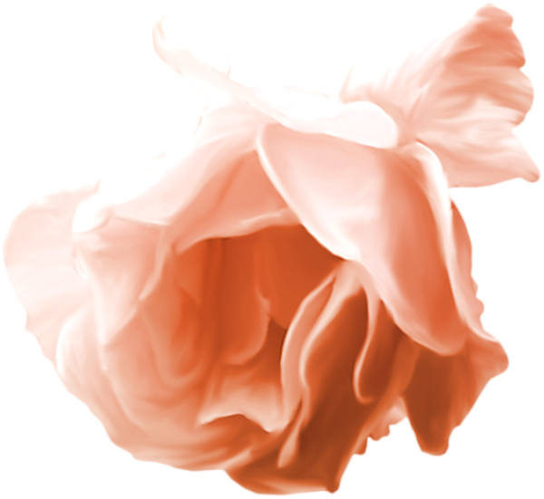 TADD_elements_ShimmerFall (19)