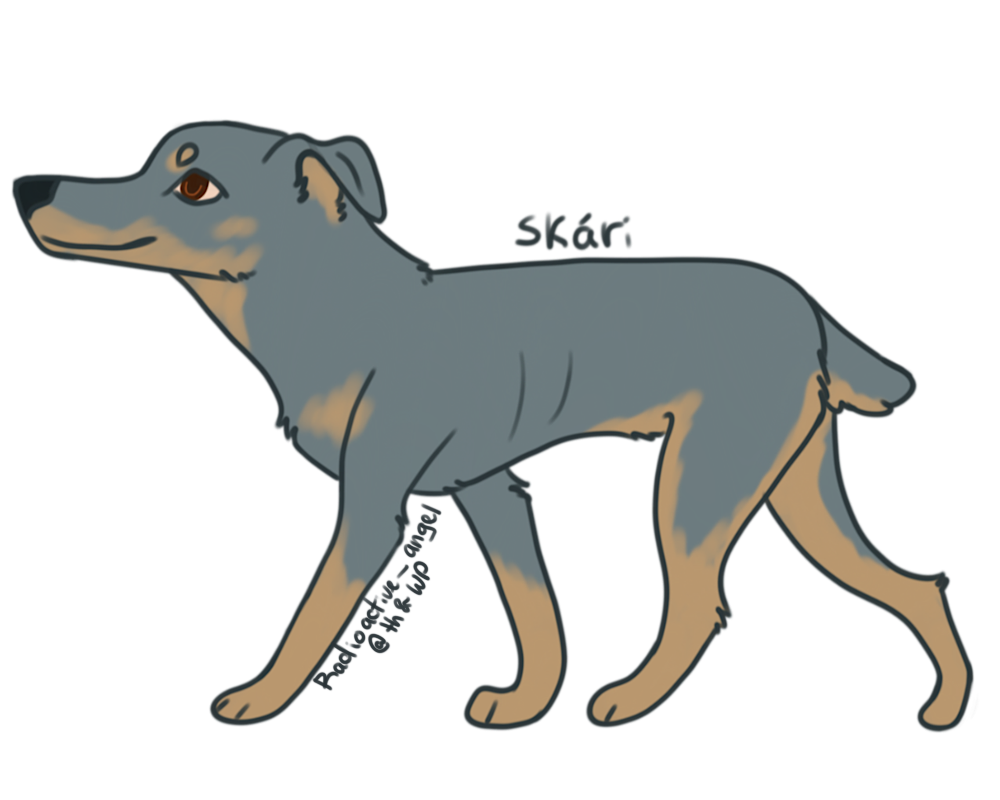 3. Skári ©265987@Wolfplay