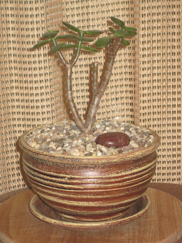 Crosby’s Compact
