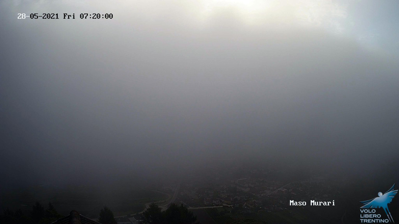 WhatsApp Image 2021-05-28 at 07.22.01 (1)