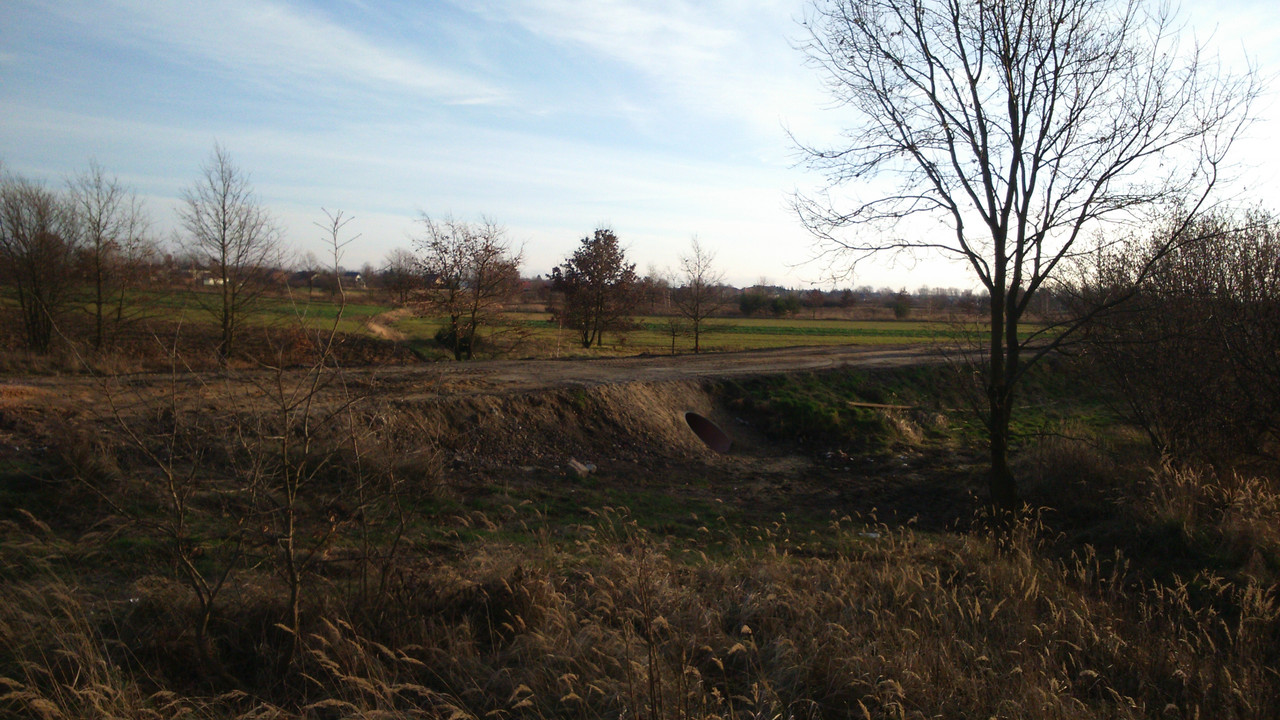 DSC 0023 — Postimages