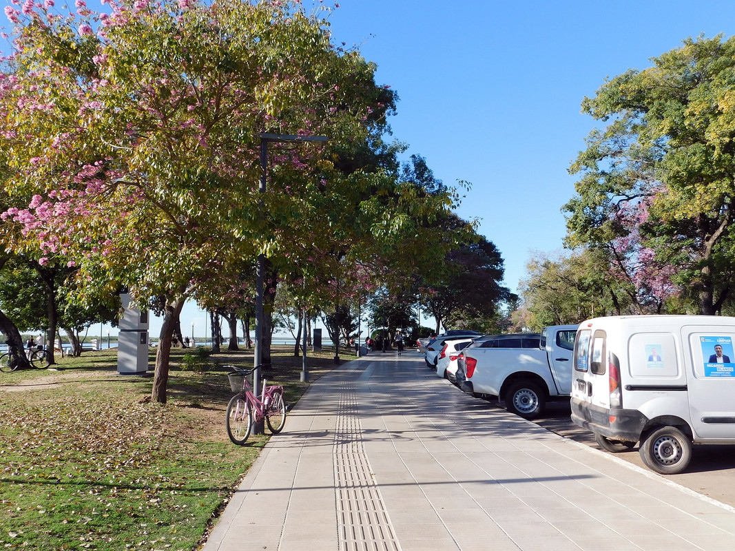 DSCN0630.jpg