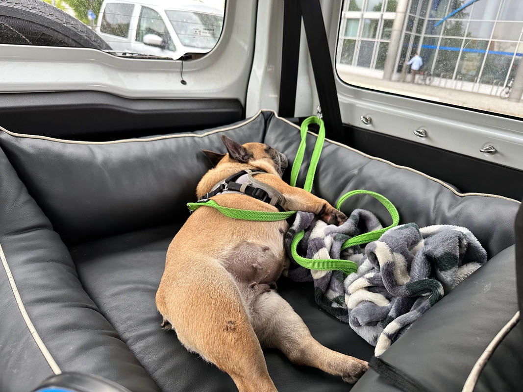 5EF88A9A-8281-4779-8EB1-C464EDCC48C5