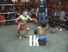 IMG-7717.gif