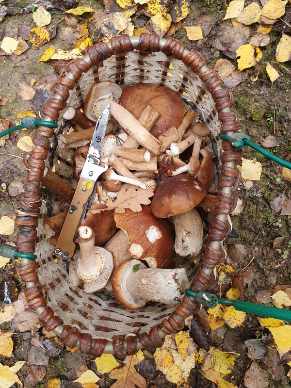 [image]