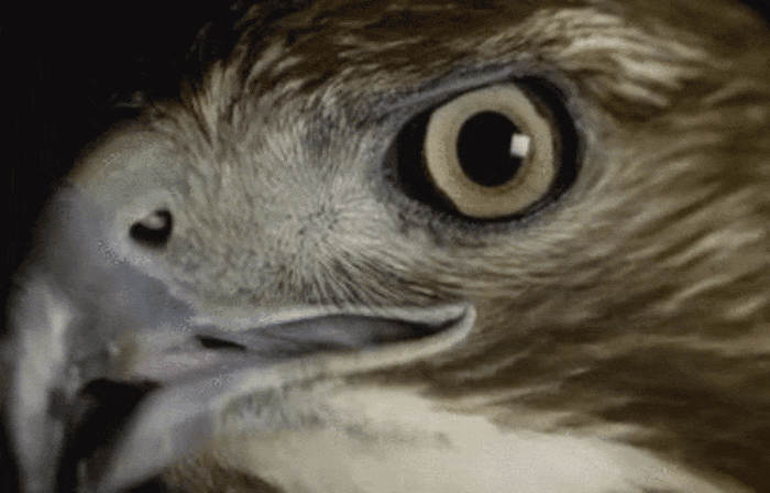 GIF-20250829-073954-619.gif