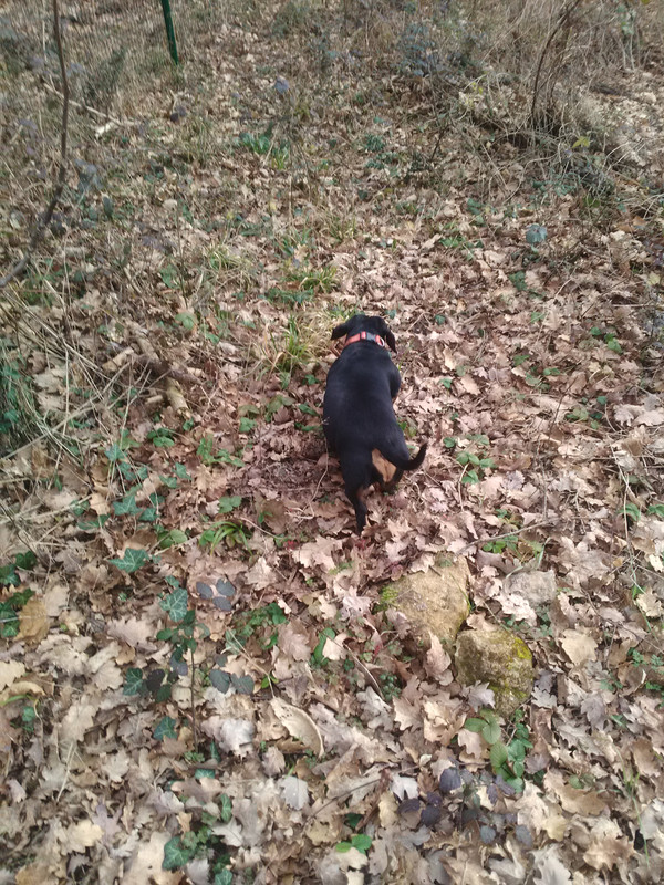 [Image: IMG-20230219-150735.jpg]