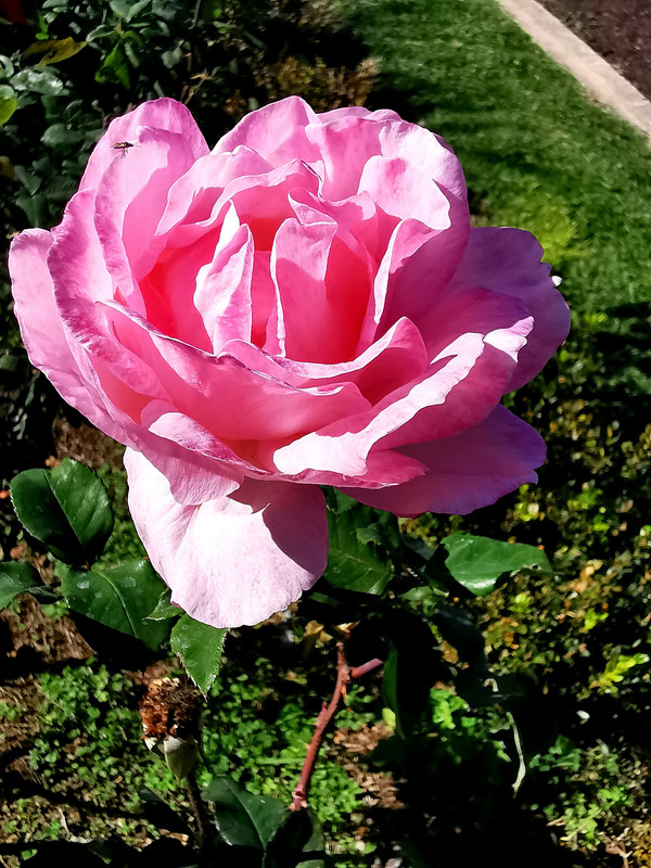 https://i.postimg.cc/QxwQNL1Y/IMG-20240110-135053-edit-286308600380269.jpg