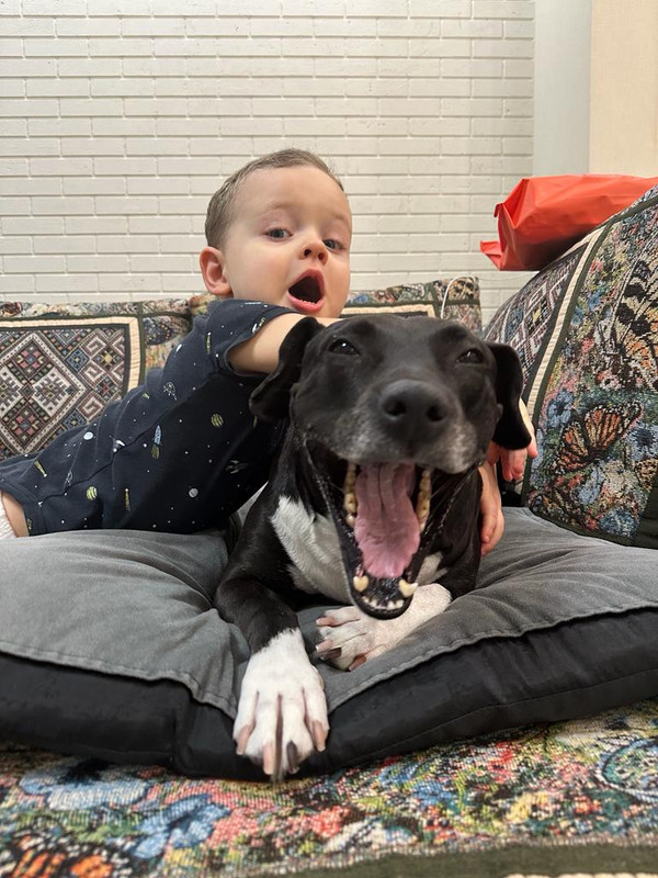 WhatsApp Image 2024-01-08 at 15.04.48 (1)