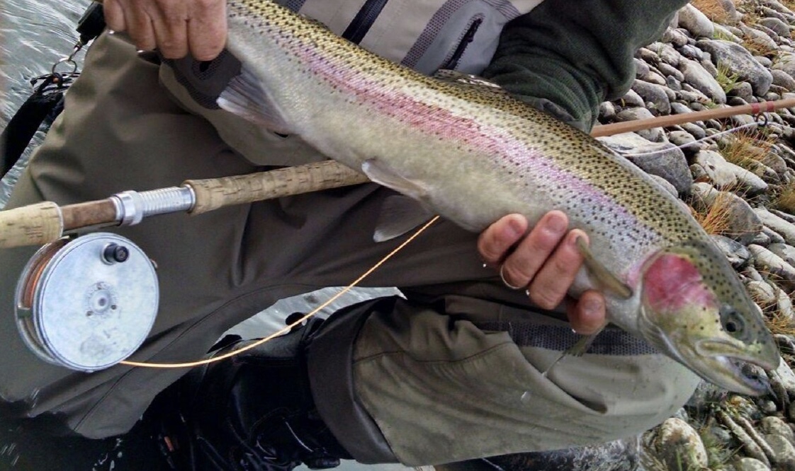 B0782E2A-5D57-4DCE-A82E-D3DEBC92EFD2