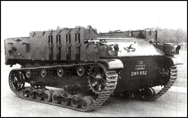 Medium Dragon Mark IV