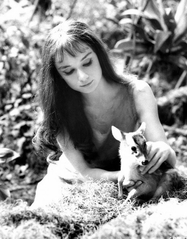 AudreyHepburn_mf39