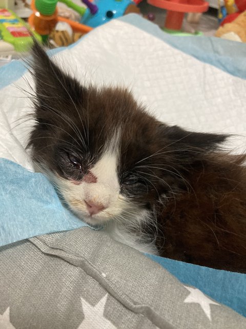 16E267C7-6739-4669-9B99-D1A97C282EC4