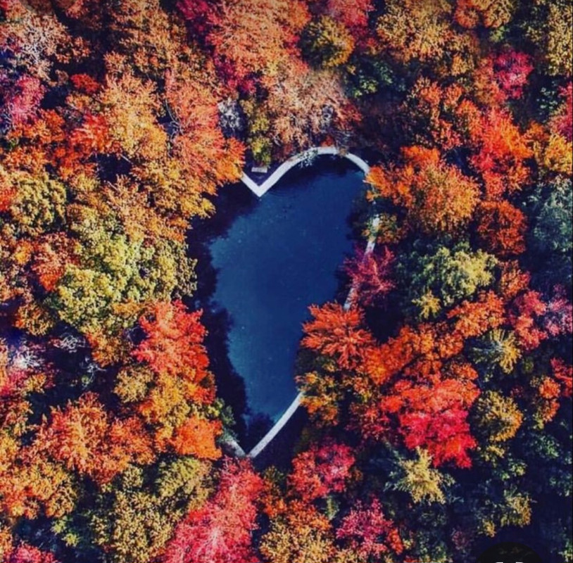 Screenshot_20231113_002625_Pinterest