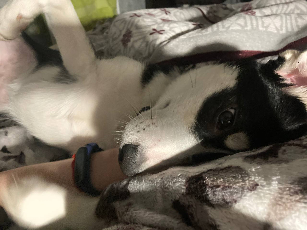 59AE34A5-6A40-470D-B8CA-AC3A5341BBA5