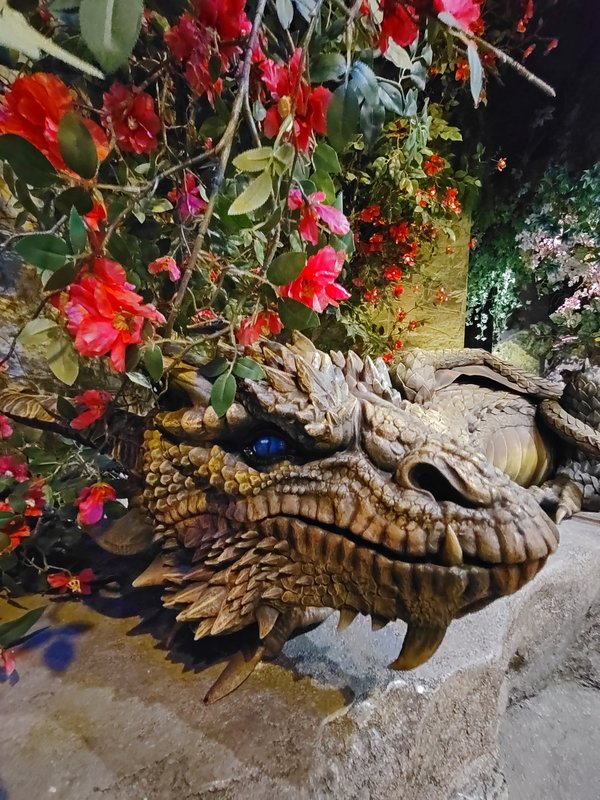 https://i.postimg.cc/QxxGzcB6/222-IMG-20250128-153136-2.jpg
