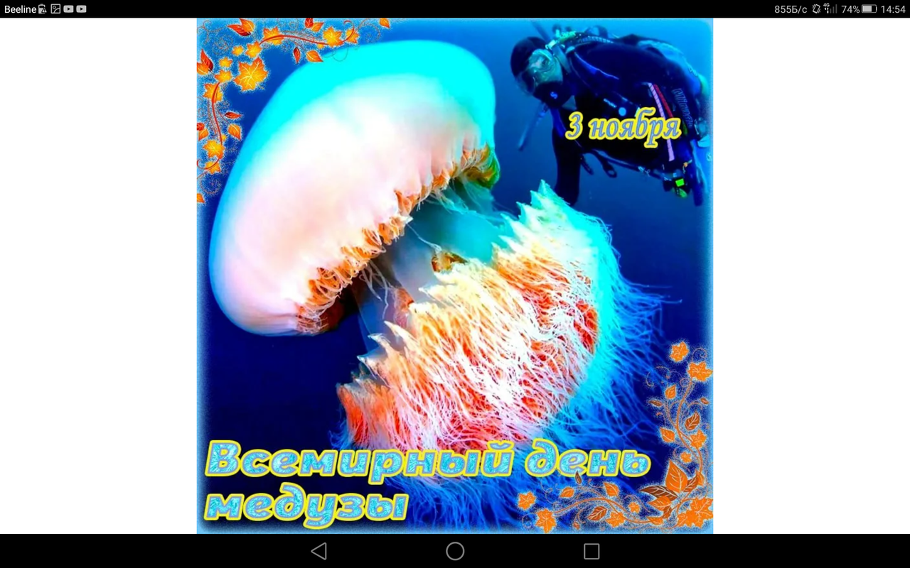 Screenshot_2023-11-03-14-54-02