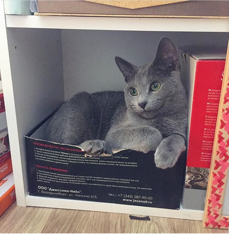 19C9C3E6-338E-4EF3-9A30-803203E975E3