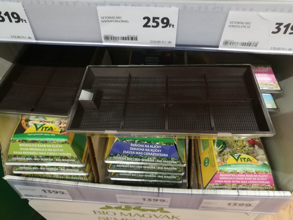 Kép