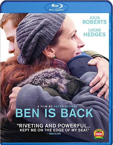 Ben Is Back [2018][BD25][Subtitulado]