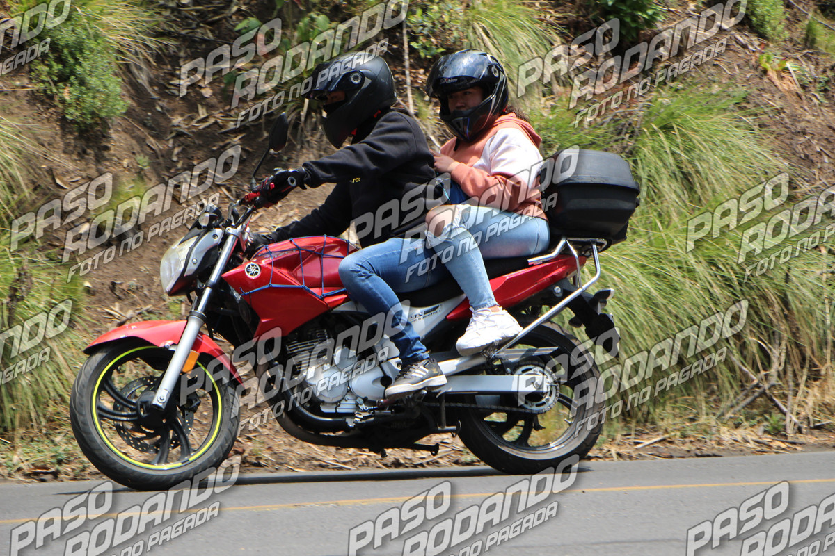 IMG_1190-wm-7198803.5_watermarked