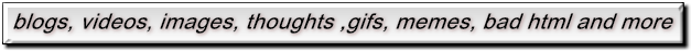 blogs, videos, images, thoughts, gifs, memes, bad html and more