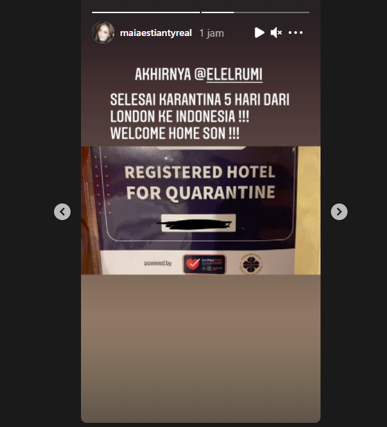 Maia Estianty sambut kedatangan El Rumi