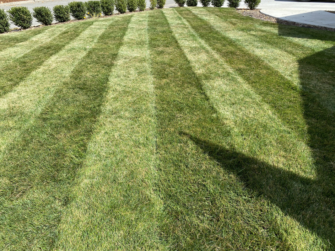 CC7009D2-645E-499A-B0BC-65EB848F5AFC