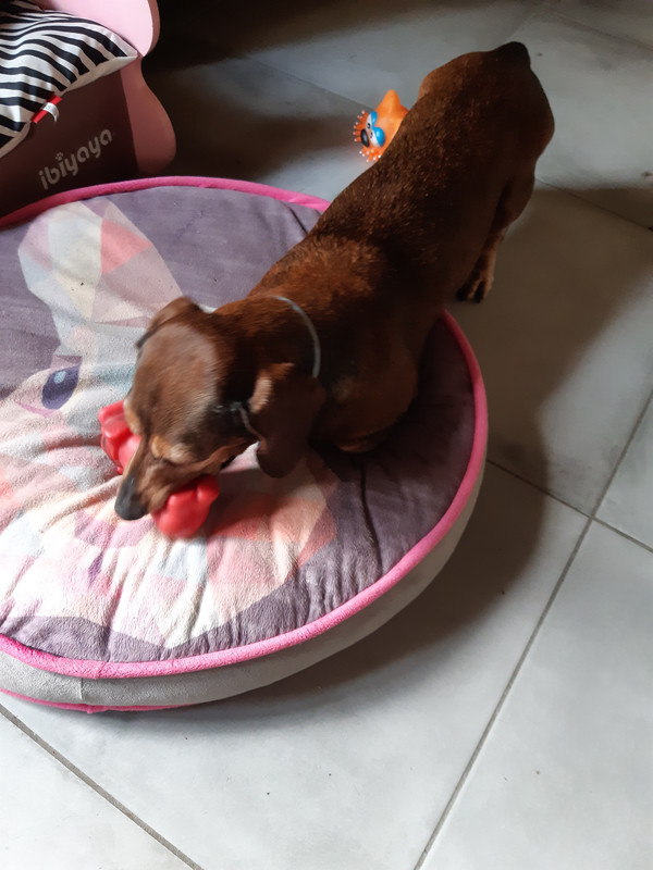 [Image: 20210602-170217.jpg]