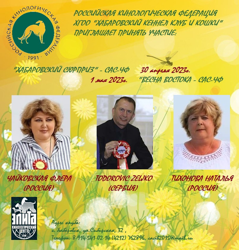 картинка — Postimages