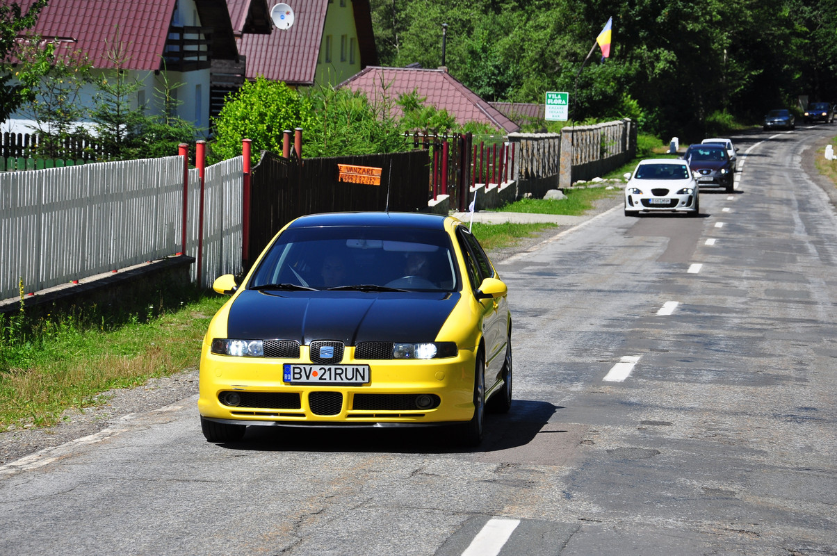 DSC_1919
