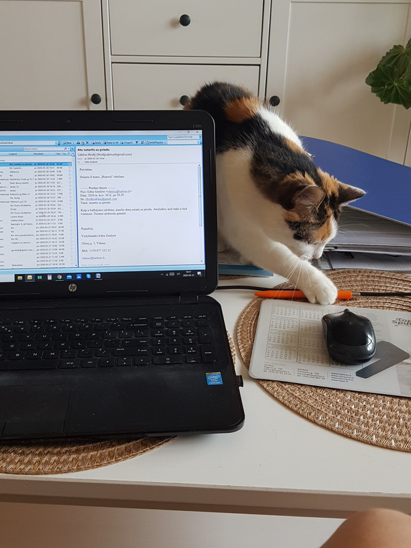 vartotojo kelta nuotrauka