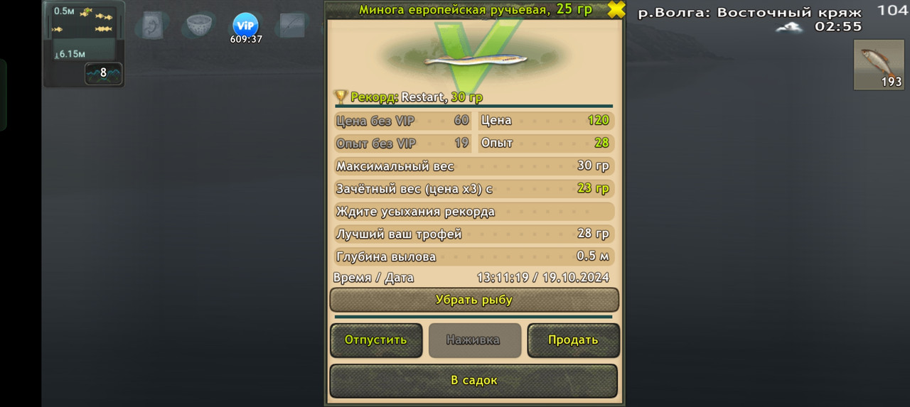 Screenshot-2024-10-19-13-11-22-76-fa28ee
