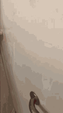 dildo-dildo-on-a-wall.gif